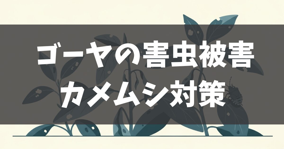 ゴーヤの害虫被害とカメムシ対策｜原因から駆除・予防まで徹底解説