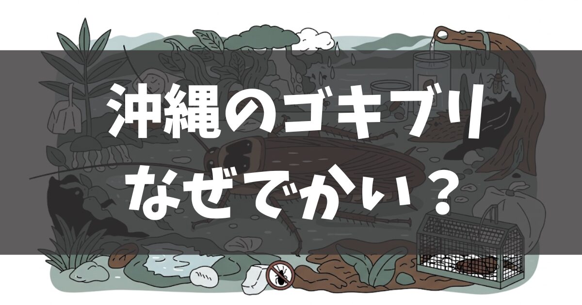 沖縄のゴキブリはでかい？生態・発生原因から自宅＆ホテルでの予防策