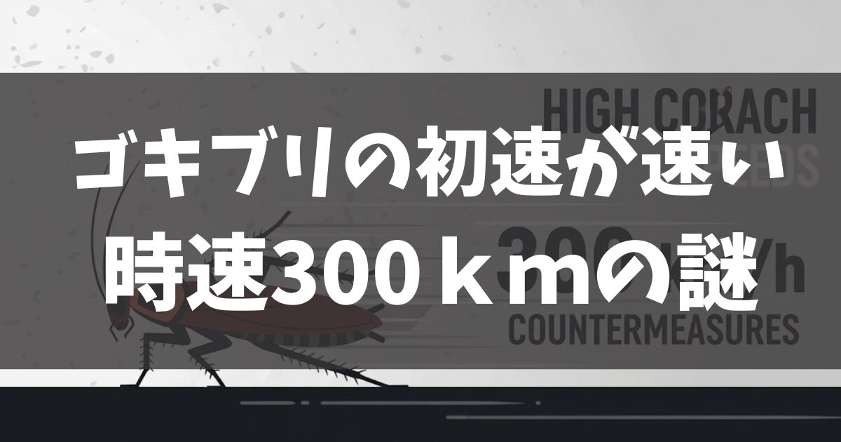 ゴキブリの初速が速い理由は？時速300kmの謎と対策を解説