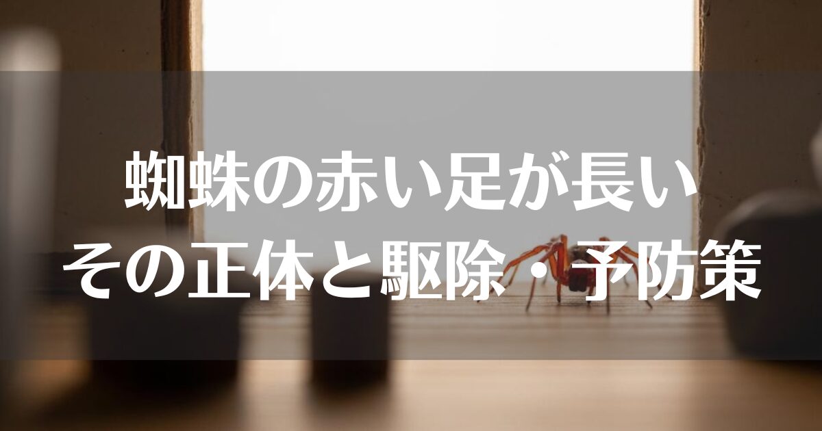 家にいる蜘蛛の赤い足が長い｜その正体と駆除・予防策を徹底解説
