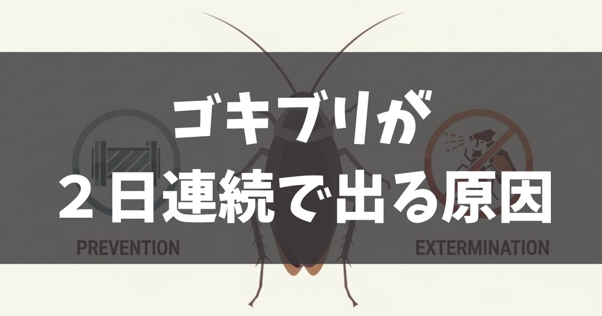 ゴキブリが2日連続で出る原因とは？侵入させない予防策と駆除方法