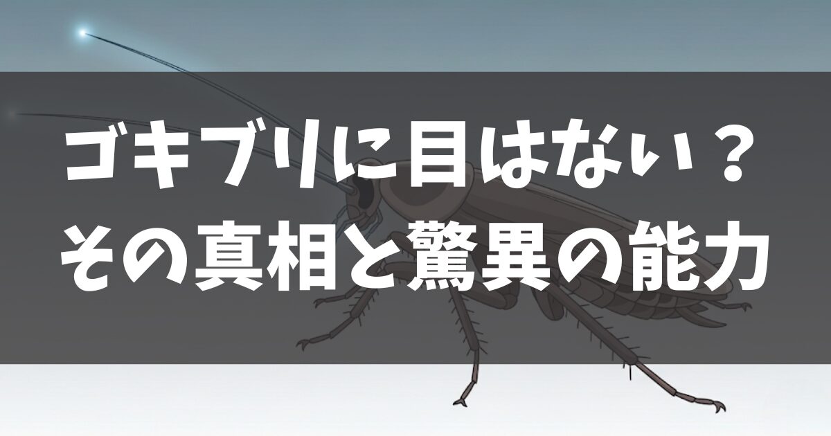 「ゴキブリに目がない」は本当？その真相と驚異の能力を徹底解説